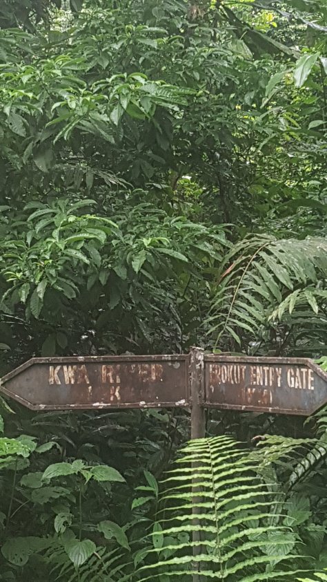 Garden Of Eden Found In Nigeria Vapata Tours